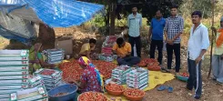 डांग में प्राकृतिक खेती से स्ट्रॉबेरी उत्पादन ₹8 लाख/हेक्टेयर तक, गुजरात का पहला जैविक जिला बना मिसाल