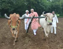 Gujarat Governor Devvrat backs natural farming at Anand visit, warns on soil damage