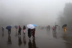 गुजरात के कई जिले जलमग्न, बनासकांठा में 1.85 इंच बारिश; बंगाल, बिहार, सिक्किम में भी अलर्ट