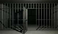 How has Gujarat Police solved 80 crimes using NAFIS in just 9 months?