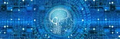 Gujarat signs ₹100 crore AI training MoU with Automation Anywhere for 10 years