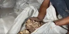 गुना में ₹3 करोड़ का डोडा चूरा जब्त, एस्कॉर्ट कार की टक्कर से बाइक सवार दंपती की मौत