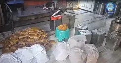 H-FAST seizes 36 tonnes of adulterated ghee in Hyderabad raids across 130 units