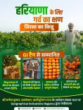 Haryana CMO: Sirsa Kinnow Gets GI Tag Recognition