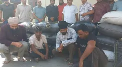 क्या हरियाणा में दो लग्जरी कारों से 305 किलो डोडा पोस्त बरामद हुआ?