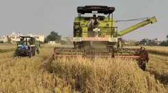 How Has Haryana's Government Subsidy on Agricultural Equipment Reduced Stubble Burning?