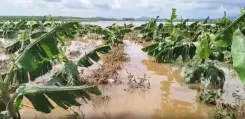 Heavy rain batters Tamil Nadu: flooding, power cuts hit 6 districts on 27 Oct