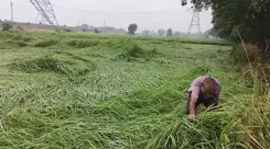 Red alert for Sitamarhi, Madhubani as heavy rain, storms hit Bihar