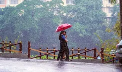 Will Heavy Rain Continue in Kerala? IMD Issues Alerts