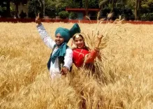 Will the Hike in MSP Secure Rs 84,263 Crore for Farmers Selling Rabi Crops in 2026-27?