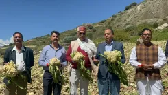 क्या जयराम ठाकुर ने लाहौल घाटी के आपदा प्रभावित क्षेत्रों का दौरा करके प्रशासनिक व्यवस्था पर सवाल उठाए?