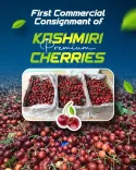 प्रीमियम चेरी की पहली वाणिज्यिक खेप सऊदी अरब और यूएई के लिए हुई रवाना : पीयूष गोयल