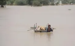 पाकिस्तान में बारिश से आफत, अब तक 221 की मौत 