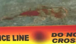 जोहान्सबर्ग में अज्ञात हमलावरों की गोलीबारी में दो की जान गई, छह घायल