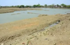 महाराष्ट्र के 19 जिलों के 83 तालुकों में 20+ दिन से बारिश नहीं, खरीफ फसलें संकट में