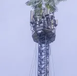 गोपालगंज में युवती ने प्रेमी की रिहाई के लिए किया मोबाइल टावर पर चढ़ाई