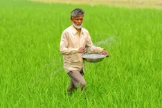 खरीफ 2026: यूरिया ₹242 और डीएपी ₹1,350 प्रति बैग — सरकार ने संसद में दी उर्वरक उपलब्धता की गारंटी