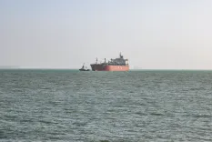 खाड़ी क्षेत्र में सभी भारतीय नाविक पूरी तरह से सुरक्षित, 2,262 की हुई सफल वापसी: सरकार