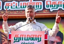 आंध्र प्रदेश में बनेगी दुनिया की पहली 'कोको सिटी', चंद्रबाबू नायडू का ऐतिहासिक फैसला