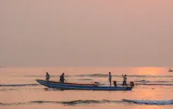 आंध्र प्रदेश ने तमिलनाडु से अपने जलक्षेत्र में अवैध मछली पकड़ने वाली नौकाओं के प्रवेश को रोकने का आग्रह किया