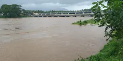 केरल बाढ़: पथानामथिट्टा में 2,500 से अधिक जानवरों को बचाने का अभियान, 20 टन चारा पहुँचाया जाएगा