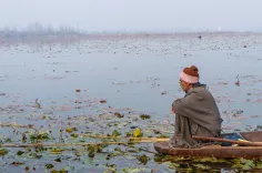 क्या कश्मीर में तापमान गिरने से ठंड बढ़ी है और जम्मू में कोहरा छाया है?