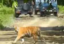 असम में 6,957 करोड़ रुपए की इंफ्रास्ट्रक्चर परियोजना को कैबिनेट की मंजूरी राज्य में इको-टूरिज्म को देगी बढ़ावा : सर्बानंद सोनोवाल