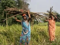 केंद्र ने असम में ग्रामीण स्थानीय निकायों को मजबूत करने के लिए 299 करोड़ रुपए से अधिक की राशि जारी की