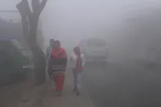 क्या तेलंगाना के कई जिलों में शीतलहर की स्थिति बनी रहेगी?