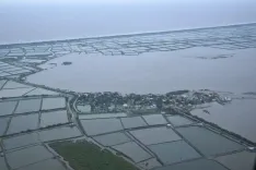 क्या आंध्र प्रदेश में चक्रवात ने फसलों और सड़कों को भारी नुकसान पहुंचाया?