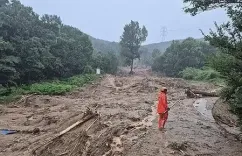 दक्षिण कोरिया में मूसलाधार बारिश से भूस्खलन, 9 की मौत, कई लापता