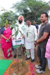 दिल्ली BJP अध्यक्ष हर्ष मल्होत्रा ने सेंट्रल रिज में लगाए पेड़, 70 लाख पौधों के लक्ष्य का हिस्सा