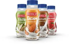 डोडला डेयरी का मुनाफा वित्त वर्ष 26 की पहली तिमाही में 3.4 प्रतिशत गिरकर 62.8 करोड़ रुपए रहा