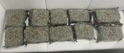 डीआरआई का बड़ा प्रहार: 5 विदेशियों समेत 20 गिरफ्तार, ₹14 करोड़ का 9.5 किलो सोना और हेरोइन जब्त