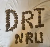 जगदलपुर में डीआरआई ने 16.528 किलो पैंगोलिन शल्क की तस्करी का भंडाफोड़, तीन गिरफ्तार