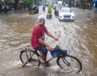 महाराष्ट्र में भारी बारिश का कहर: पालघर में 203 मिमी वर्षा, 2 मौतें; कई नदियाँ खतरे के निशान से ऊपर