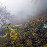 जोशीमठ हेलीकॉप्टर हादसा: 6 की मौत, डीजीसीए टीम देहरादून रवाना, CM धामी ने दिए जांच के आदेश