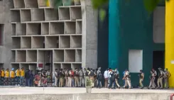 ट्रिब्यून चौक फ्लाईओवर: पंजाब-हरियाणा हाईकोर्ट ने पेड़ों की कटाई पर लगाई रोक