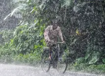मध्य प्रदेश में भारी बारिश और बिजली गिरने का अलर्ट, 30 से अधिक जिलों में IMD की चेतावनी