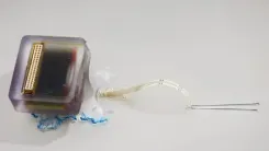 रीढ़ की हड्डी की चोट के इलाज में नई उम्मीद : शोधकर्ताओं ने विकसित किया इम्प्लांटेबल डिवाइस