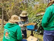 मणिपुर: तमेंगलोंग में शहद उत्पादन बढ़ाने की पहल, 100 से अधिक किसानों को प्रशिक्षण