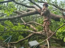 श्रीलंका में दित्वाह से तबाह हुए ऑप्टिकल फाइबर केबल नेटवर्क को भारतीय सेना ने किया बहाल 