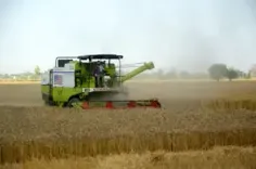 कृषि क्षेत्र में स्थिर मूल्यों पर उत्पादन बीते 12 वर्षों में 54.6 प्रतिशत बढ़ा