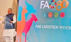 भारत के पशुपालन क्षेत्र ने 12.77 प्रतिशत की सीएजीआर की दर्ज, देश की अर्थव्यवस्था में 5.5 प्रतिशत का योगदान : राजीव रंजन सिंह