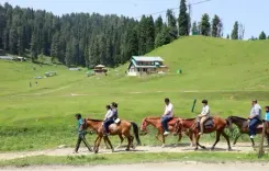 भारत का बढ़ता मध्यम वर्ग 'ग्लोबल लेजर ट्रैवल' के भविष्य को देगा आकार : रिपोर्ट