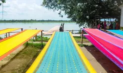 हथकरघा क्षेत्र को मजबूत करेगी IIT-NIFT साझेदारी, बुनकरों के सशक्तिकरण पर डॉ. एम. बीना का जोर