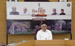 गुजरात में एशियाई शेरों की आबादी 891 हुई, सीएम भूपेंद्र पटेल बोले — इकोसिस्टम की रक्षा ही असली लक्ष्य
