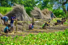 पीएम धन-धान्य कृषि योजना का पहला साल पूरा: 100 जिलों का औसत स्कोर 18.85 से बढ़कर 46.89 हुआ