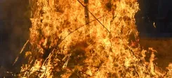 मैसूरु: प्रेम प्रस्ताव ठुकराने पर युवक ने खुद पर पेट्रोल डाला, छात्रा को जबरन गले लगाया — दोनों झुलसे