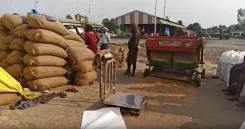 उत्तर प्रदेश के किसानों को मिली बड़ी राहत: गेहूं खरीद नियमों में दी गई ढील, बिना रजिस्ट्रेशन बेच सकेंगे फसल